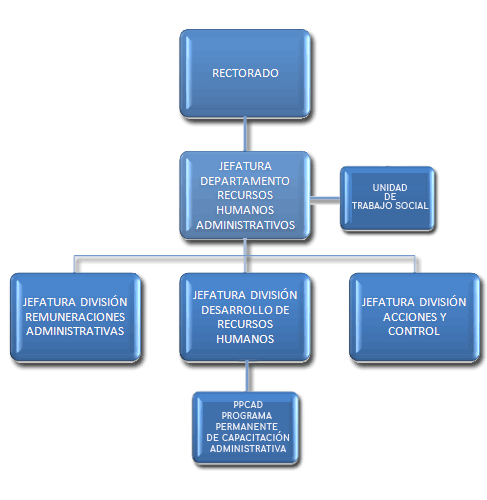 Estructura organizacional del Departamento de Recursos Humanos